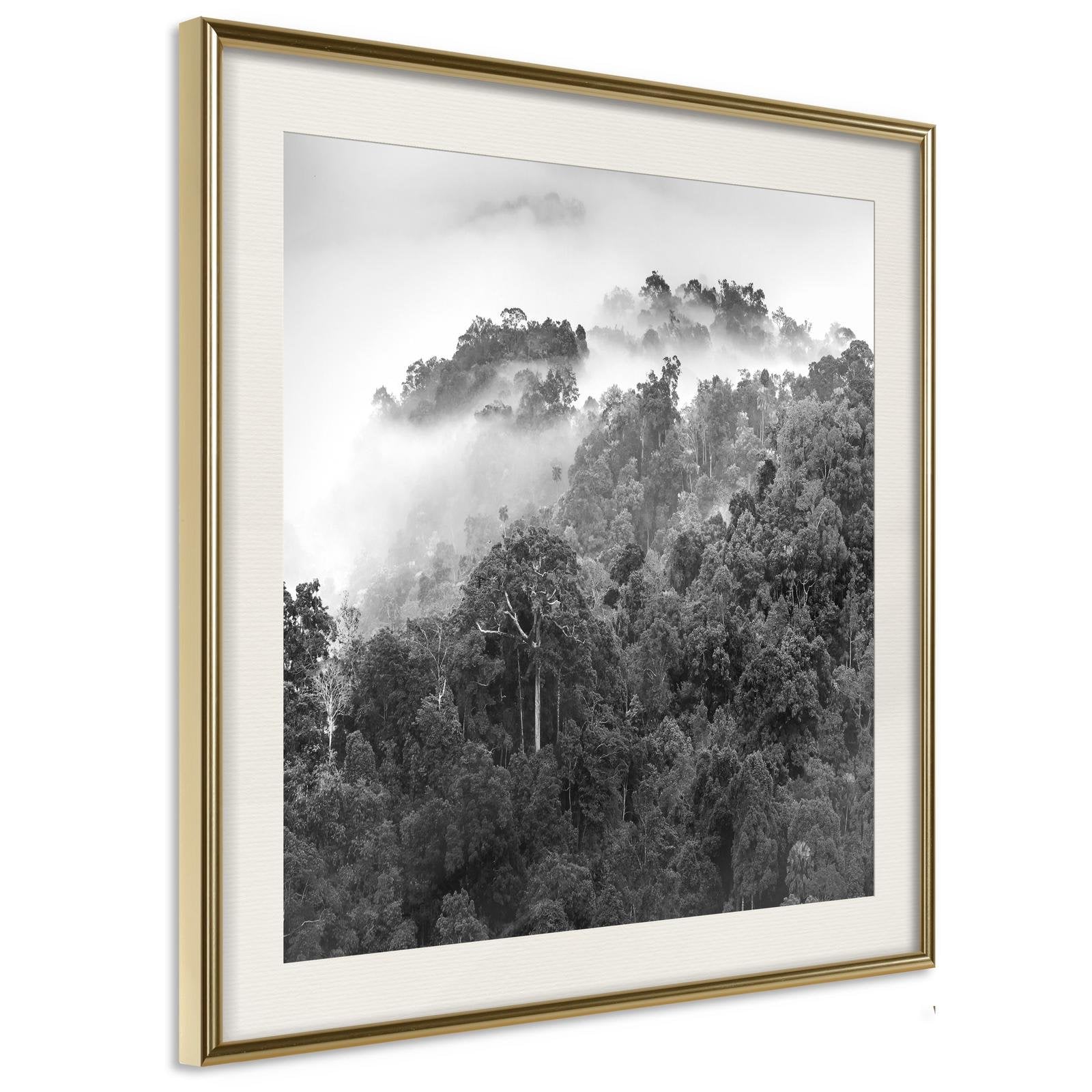 Inramad Poster / Tavla - Foggy Forest-Poster Inramad-Artgeist-20x20-Guldram med passepartout-peaceofhome.se