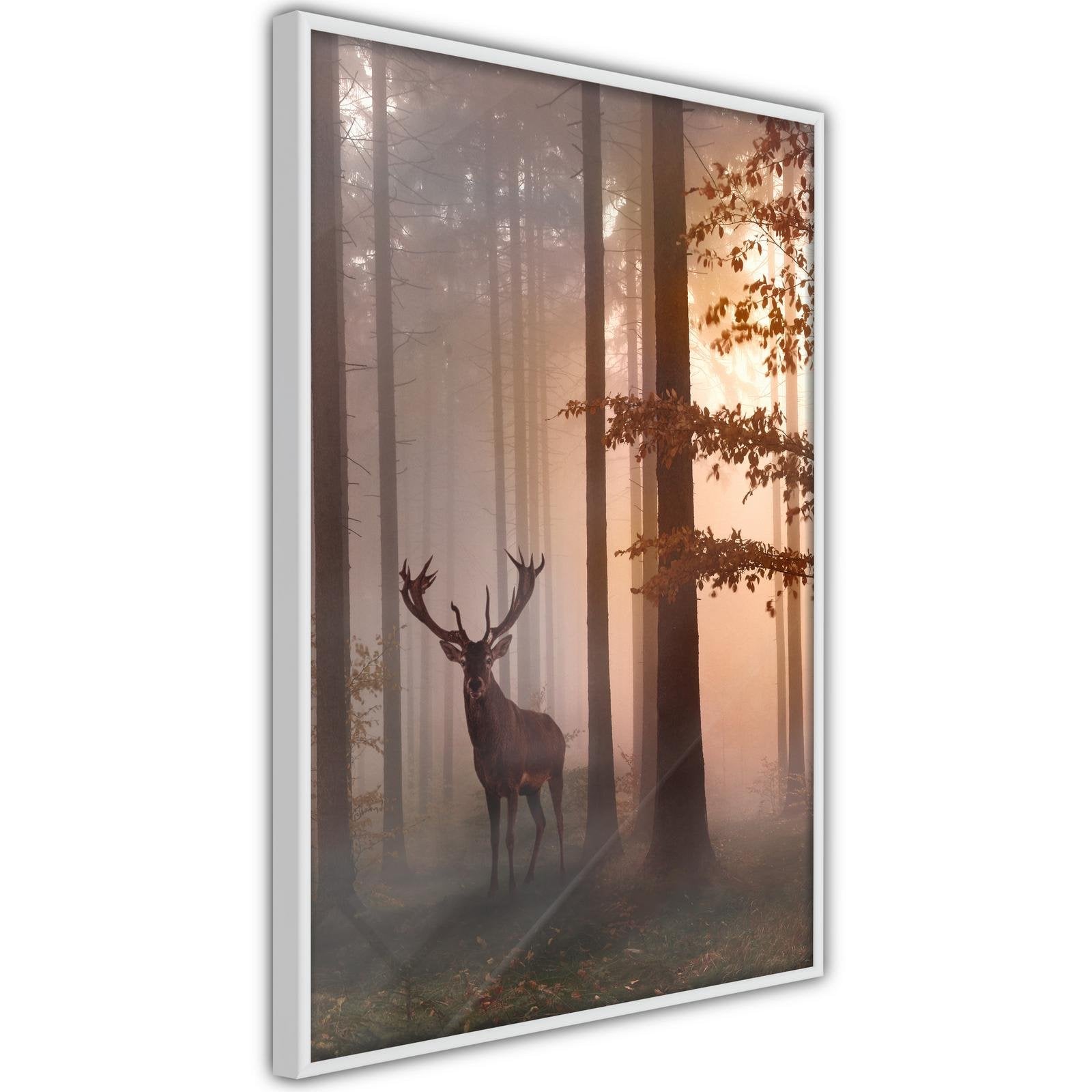 Inramad Poster / Tavla - Forest Seclusion-Poster Inramad-Artgeist-peaceofhome.se