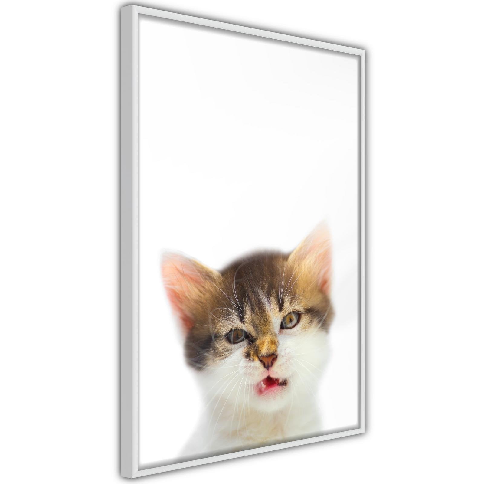 Inramad Poster / Tavla - Funny Kitten-Poster Inramad-Artgeist-peaceofhome.se