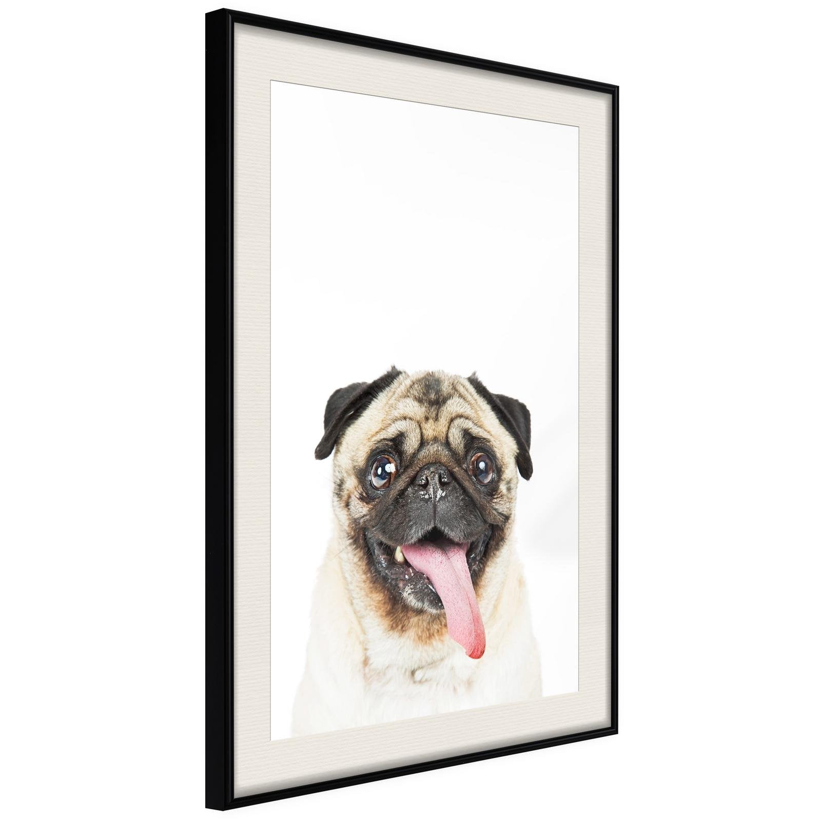 Inramad Poster / Tavla - Funny Pug-Poster Inramad-Artgeist-peaceofhome.se