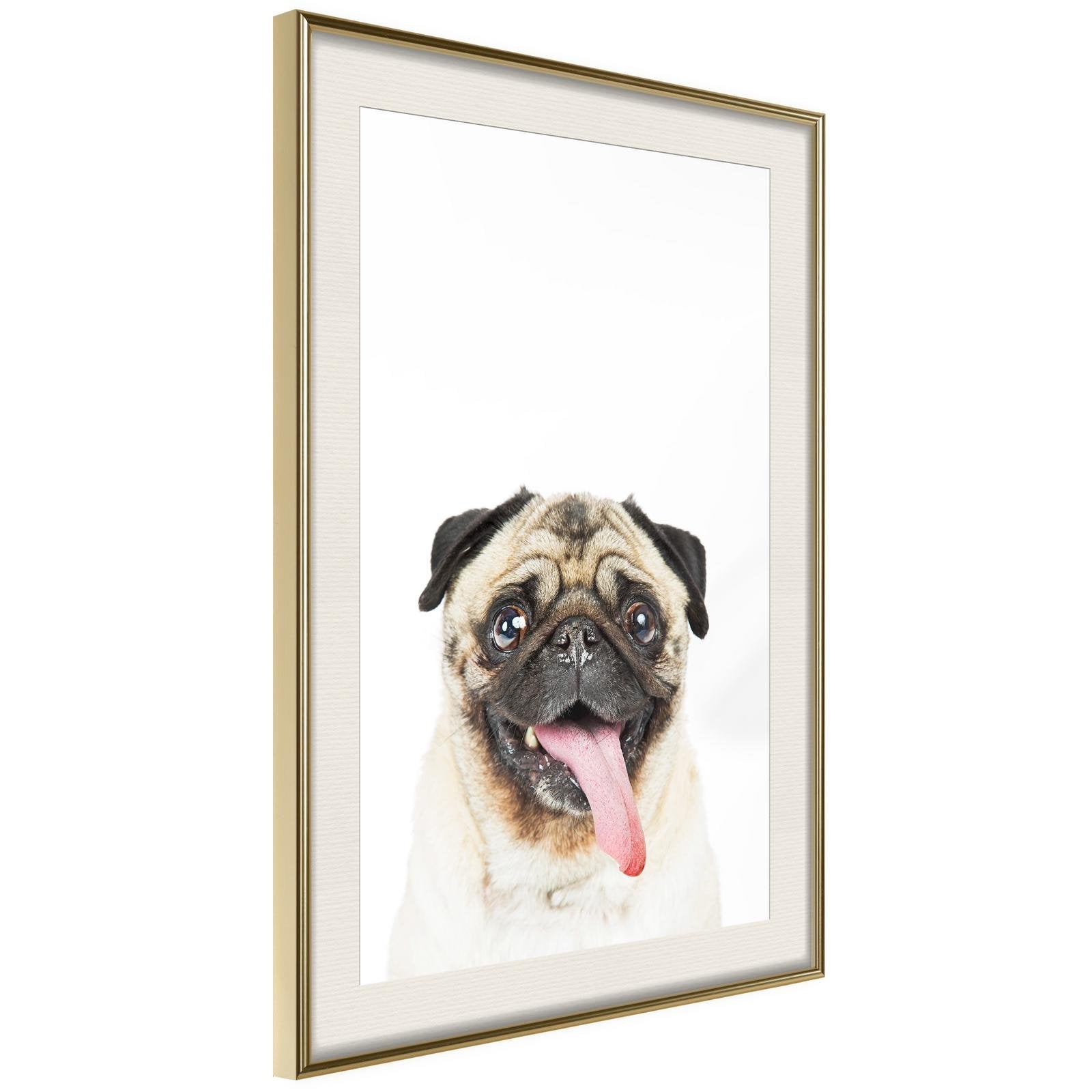 Inramad Poster / Tavla - Funny Pug-Poster Inramad-Artgeist-peaceofhome.se