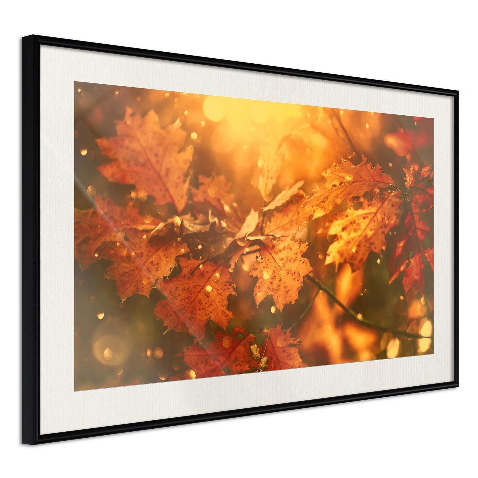 Inramad Poster / Tavla - Golden Autumn-Poster Inramad-Artgeist-peaceofhome.se