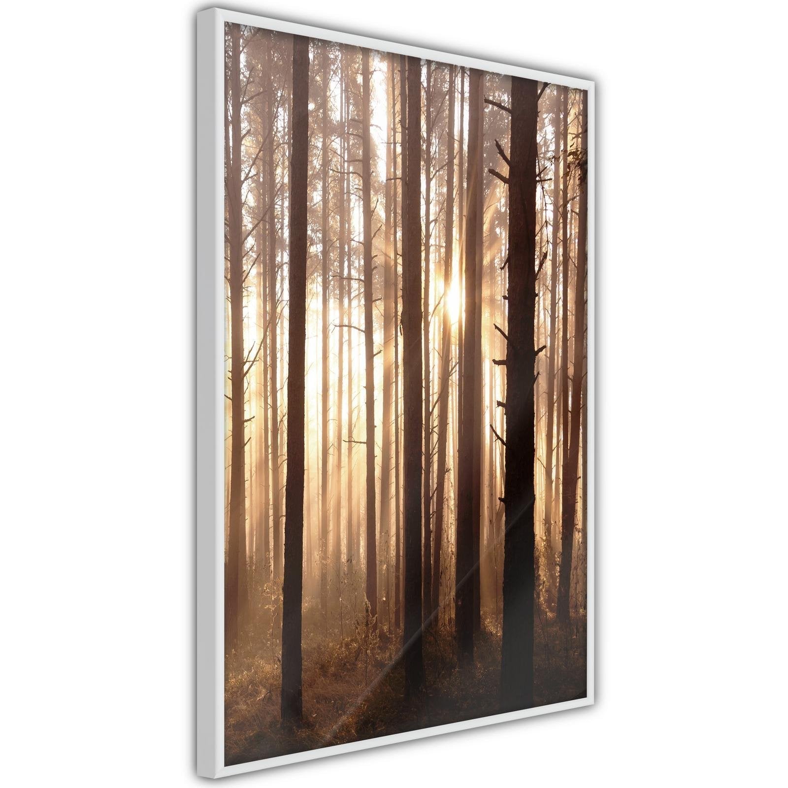 Inramad Poster / Tavla - Morning in the Forest-Poster Inramad-Artgeist-peaceofhome.se