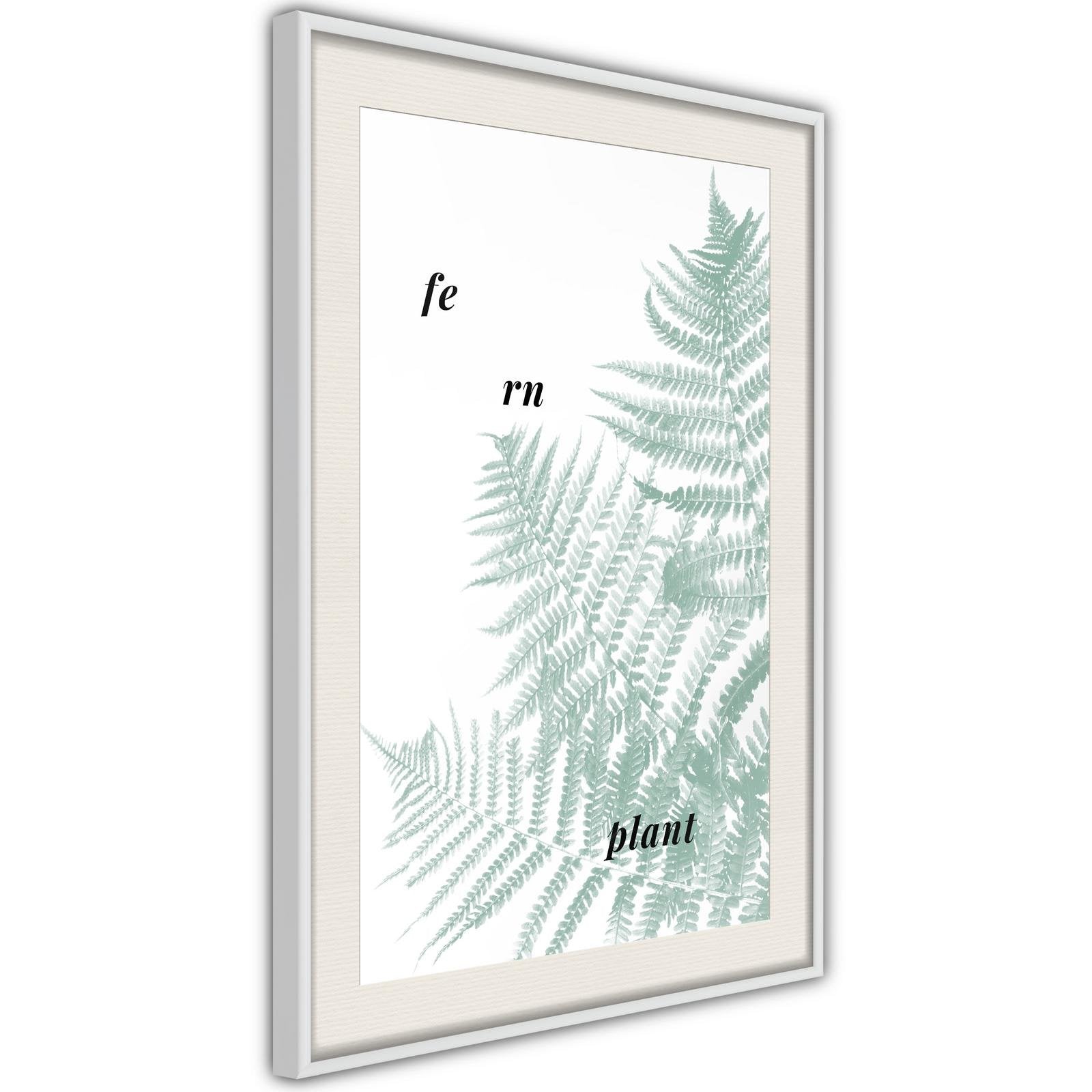 Inramad Poster / Tavla - Pale Green Fern-Poster Inramad-Artgeist-peaceofhome.se