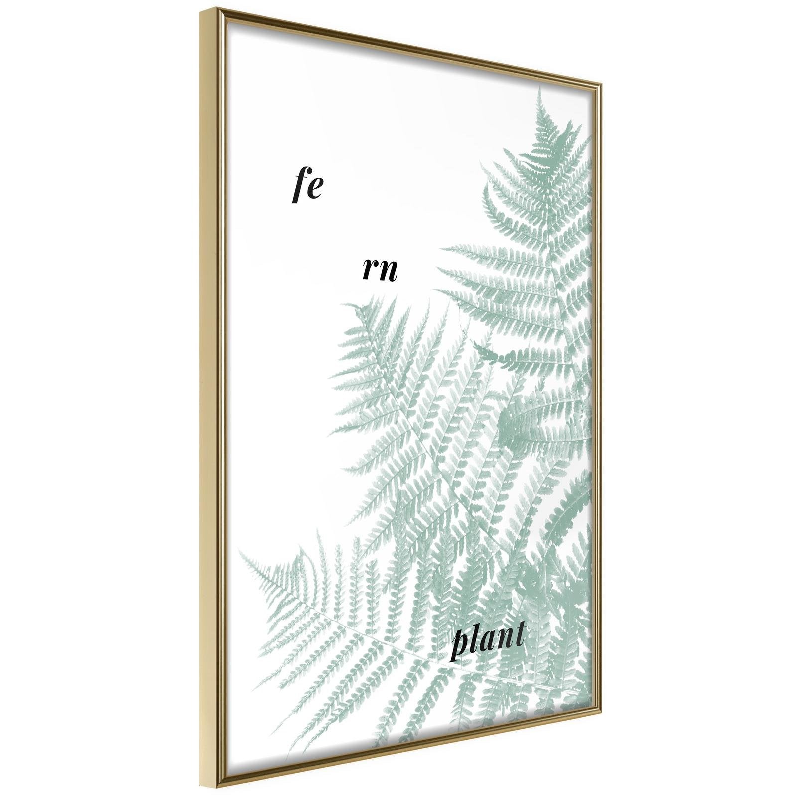 Inramad Poster / Tavla - Pale Green Fern-Poster Inramad-Artgeist-peaceofhome.se