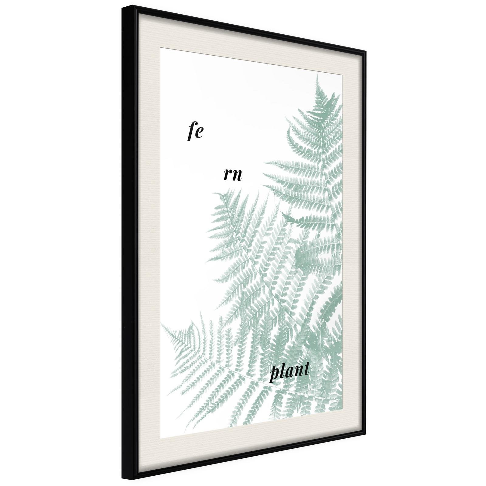 Inramad Poster / Tavla - Pale Green Fern-Poster Inramad-Artgeist-peaceofhome.se