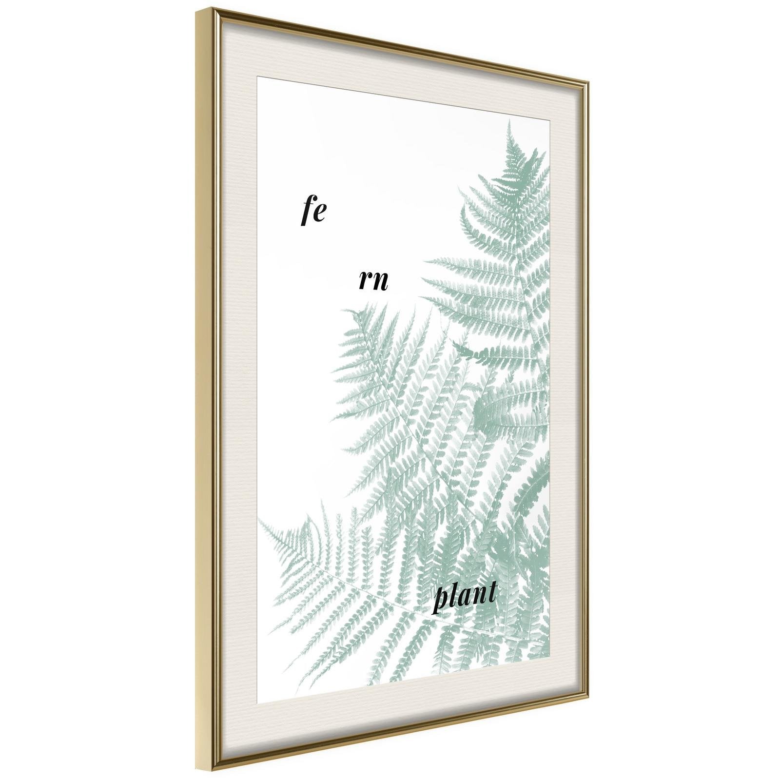 Inramad Poster / Tavla - Pale Green Fern-Poster Inramad-Artgeist-peaceofhome.se