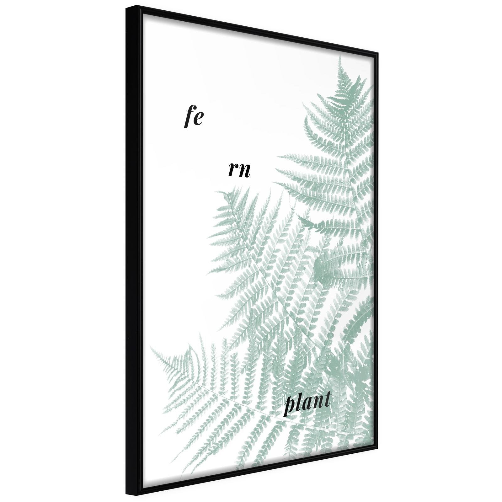 Inramad Poster / Tavla - Pale Green Fern-Poster Inramad-Artgeist-peaceofhome.se