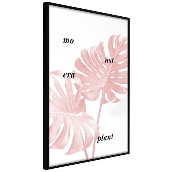 Inramad Poster / Tavla - Pale Pink Monstera-Poster Inramad-Artgeist-peaceofhome.se