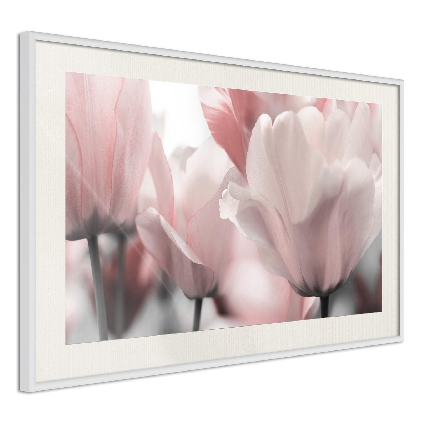 Inramad Poster / Tavla - Pastel Tulips II-Poster Inramad-Artgeist-peaceofhome.se