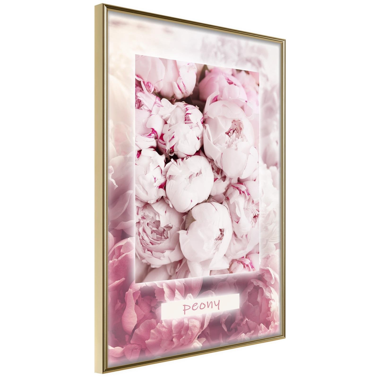 Inramad Poster / Tavla - Scent of Peonies-Affisch-Artgeist-peaceofhome.se