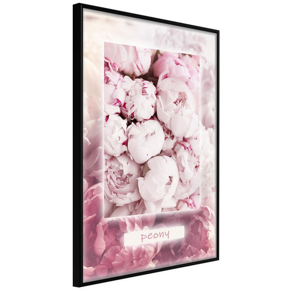 Inramad Poster / Tavla - Scent of Peonies-Affisch-Artgeist-peaceofhome.se