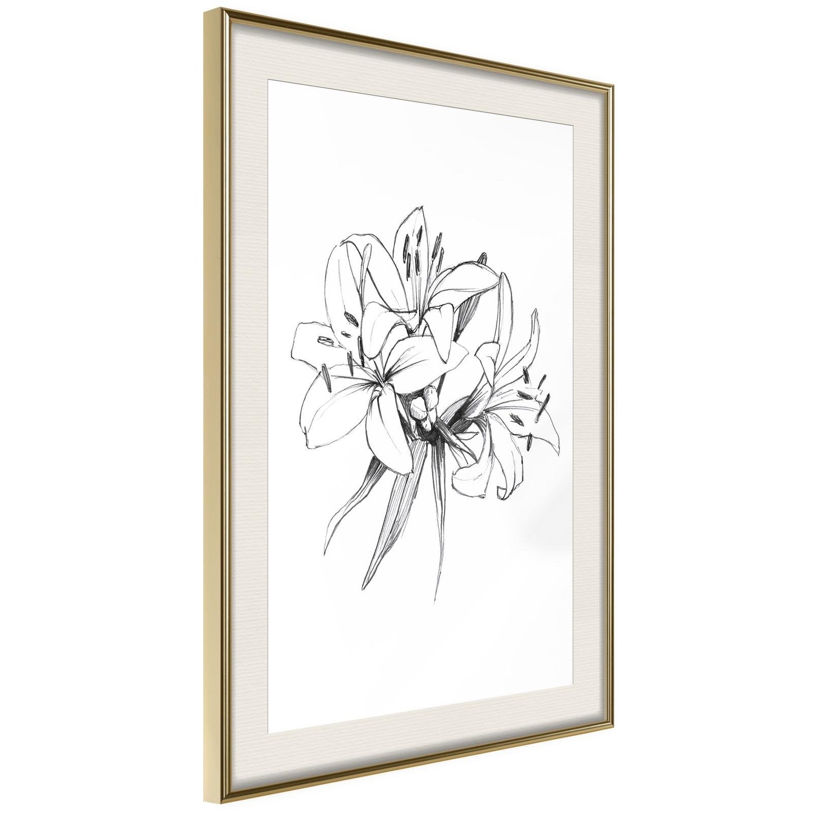 Inramad Poster / Tavla - Sketch of Lillies-Poster Inramad-Artgeist-peaceofhome.se