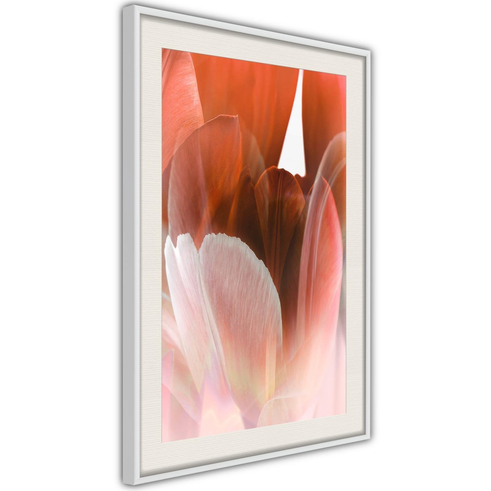 Inramad Poster / Tavla - Tulip Petals-Affisch-Artgeist-peaceofhome.se