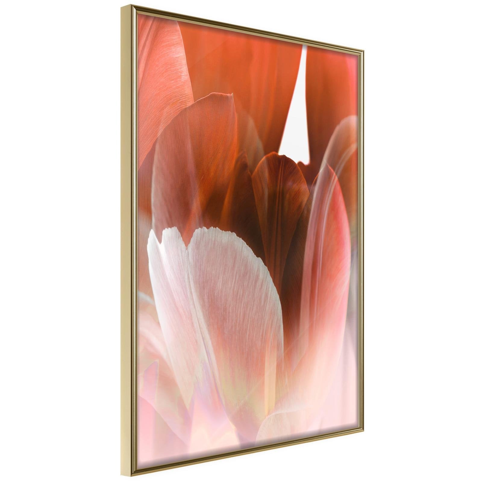 Inramad Poster / Tavla - Tulip Petals-Affisch-Artgeist-peaceofhome.se