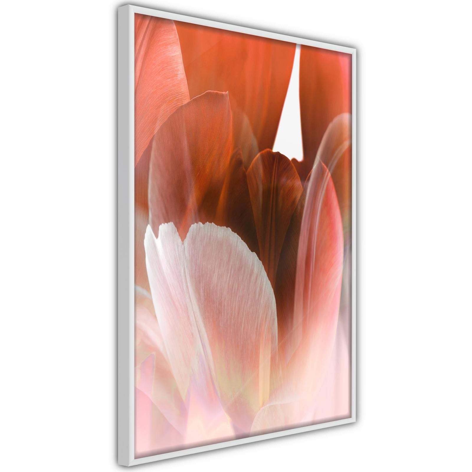 Inramad Poster / Tavla - Tulip Petals-Affisch-Artgeist-peaceofhome.se