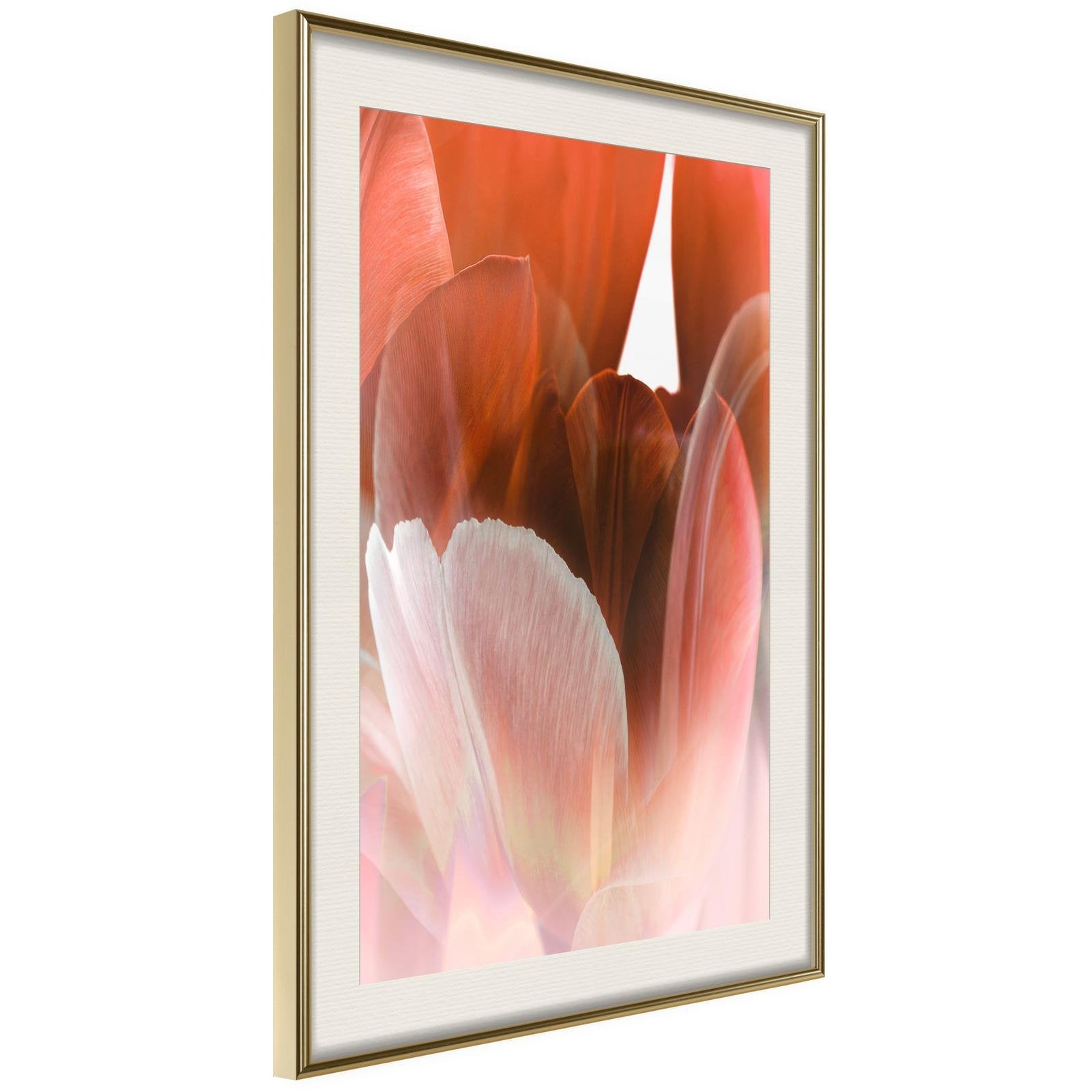 Inramad Poster / Tavla - Tulip Petals-Affisch-Artgeist-peaceofhome.se