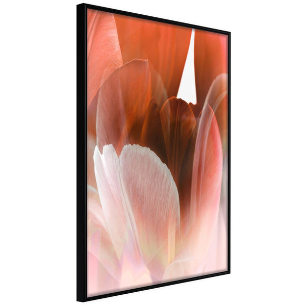 Inramad Poster / Tavla - Tulip Petals-Affisch-Artgeist-peaceofhome.se