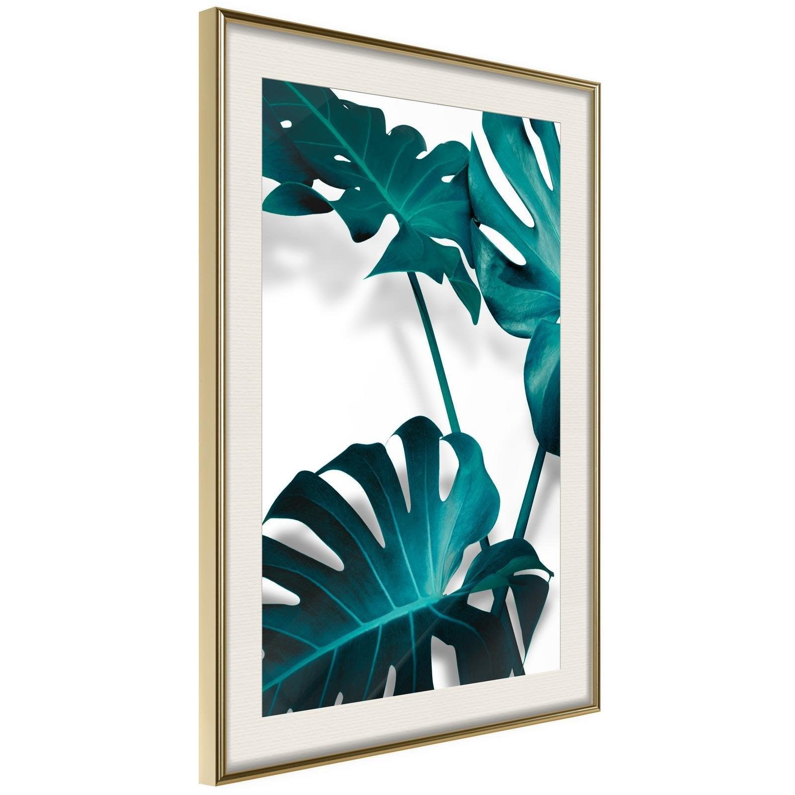 Inramad Poster / Tavla - Turquoise Monstera II-Poster Inramad-Artgeist-peaceofhome.se