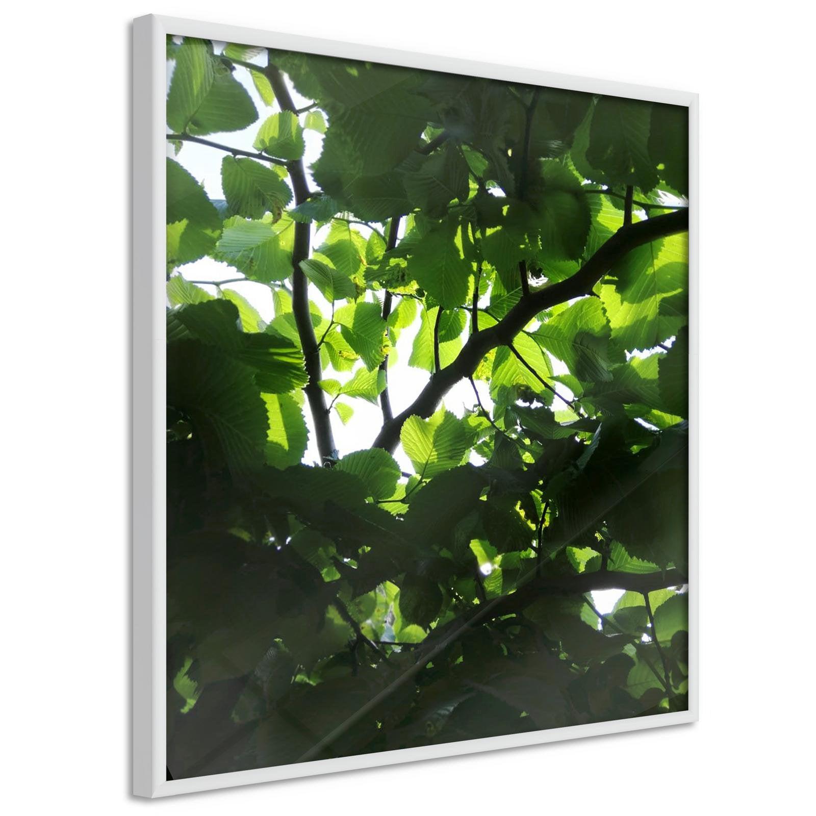 Inramad Poster / Tavla - Under Cover of Leaves-Poster Inramad-Artgeist-peaceofhome.se