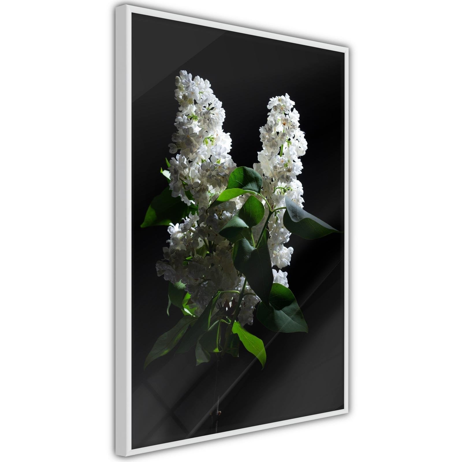 Inramad Poster / Tavla - White Lilac-Poster Inramad-Artgeist-peaceofhome.se