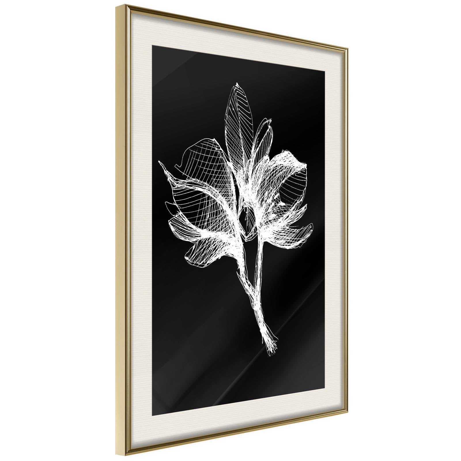 Inramad Poster / Tavla - White Plant-Poster Inramad-Artgeist-peaceofhome.se