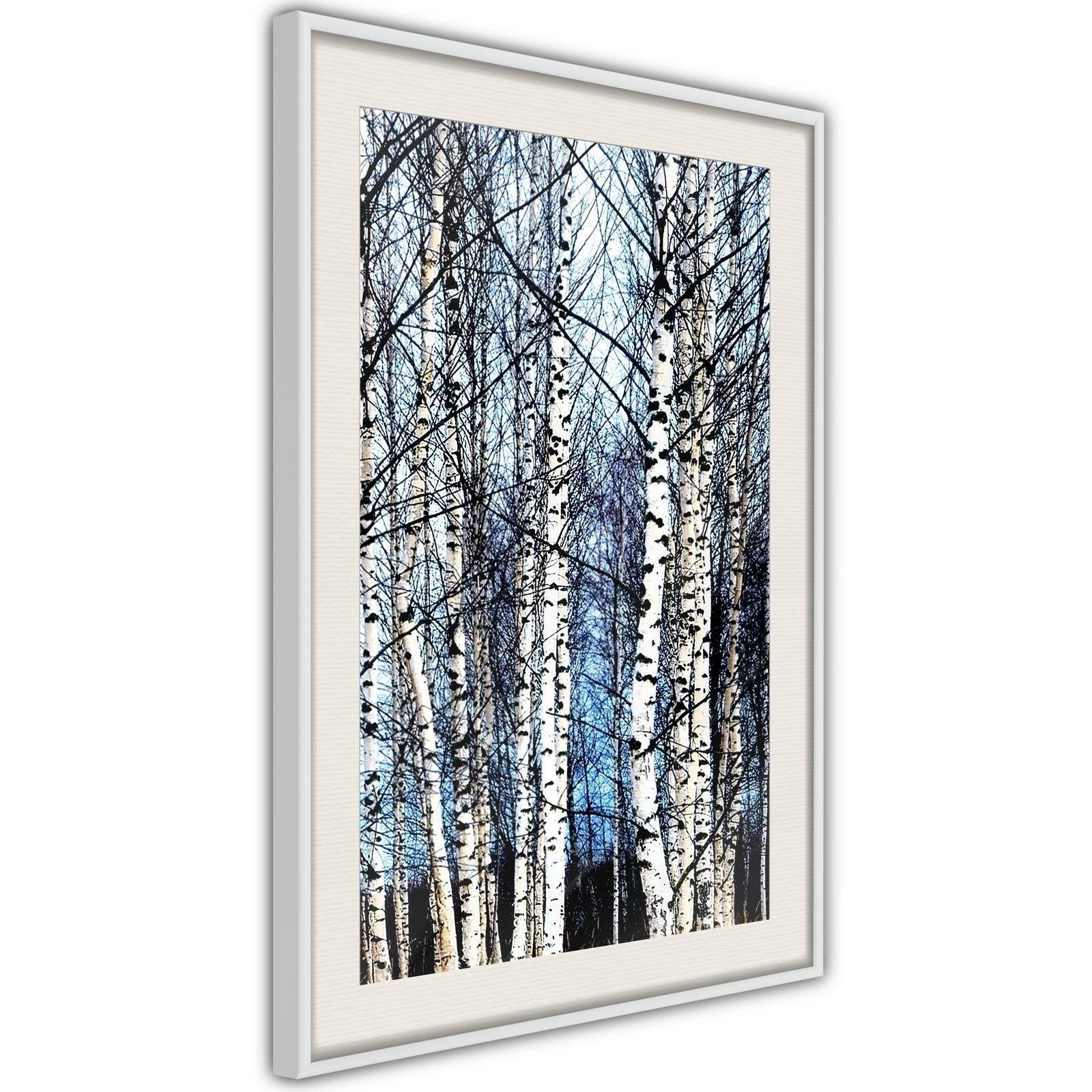 Inramad Poster / Tavla - Winter Birch Trees-Affisch-Artgeist-peaceofhome.se