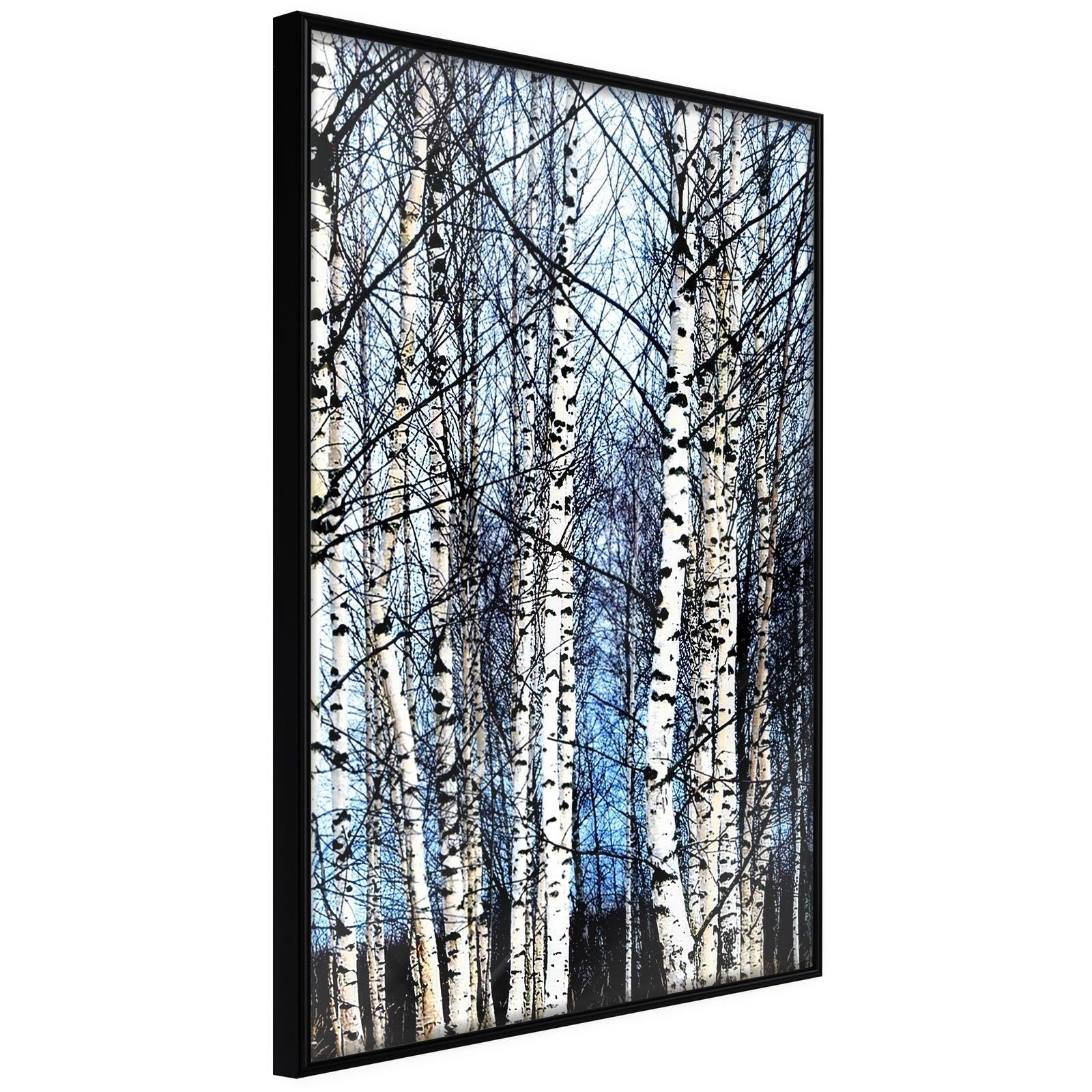 Inramad Poster / Tavla - Winter Birch Trees-Affisch-Artgeist-peaceofhome.se