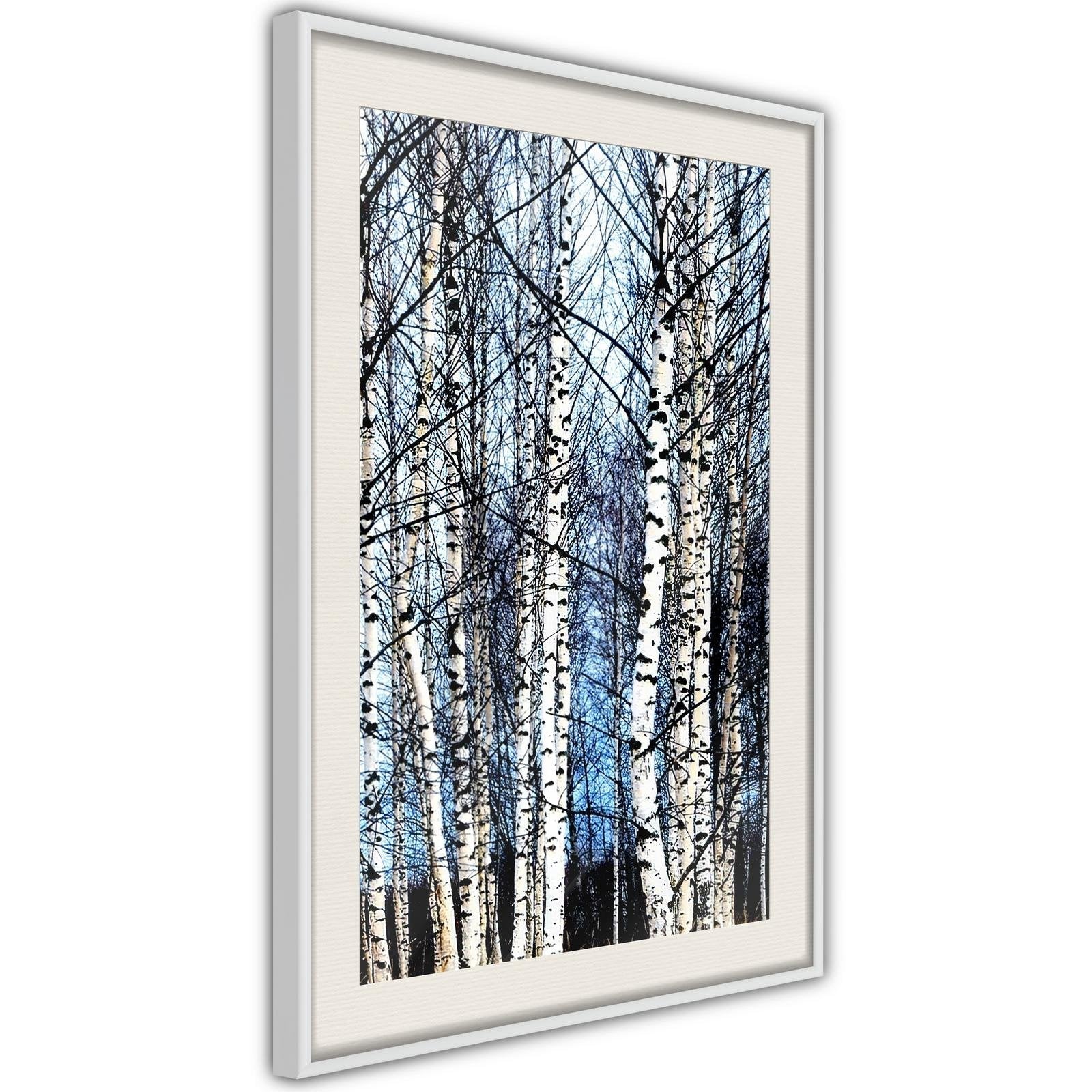 Inramad Poster / Tavla - Winter Birch Trees-Poster Inramad-Artgeist-peaceofhome.se