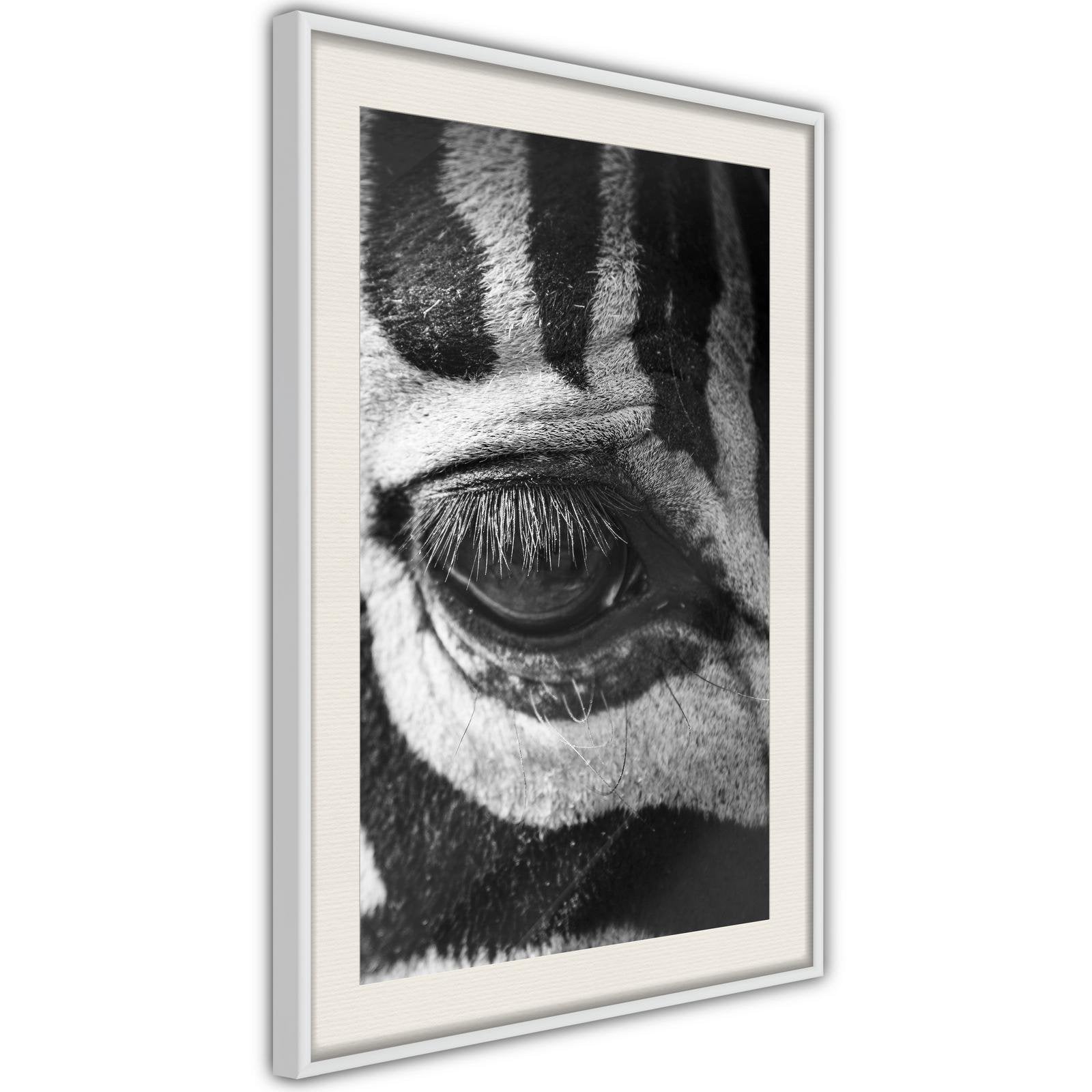 Inramad Poster / Tavla - Zebra Is Watching You-Poster Inramad-Artgeist-peaceofhome.se
