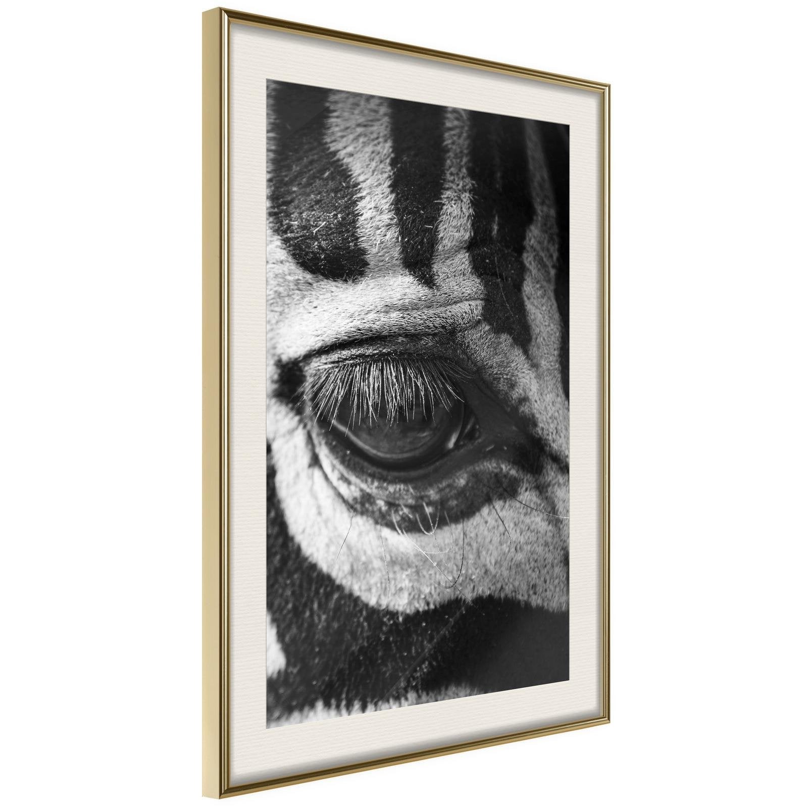 Inramad Poster / Tavla - Zebra Is Watching You-Poster Inramad-Artgeist-peaceofhome.se