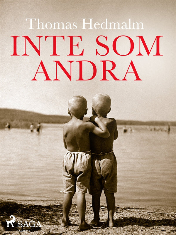 Inte som andra – E-bok – Laddas ner-Digitala böcker-Axiell-peaceofhome.se