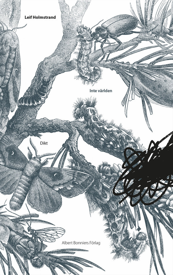 Inte världen – E-bok – Laddas ner-Digitala böcker-Axiell-peaceofhome.se