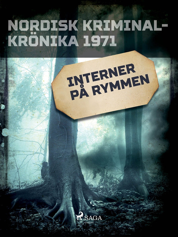 Interner på rymmen – E-bok – Laddas ner-Digitala böcker-Axiell-peaceofhome.se