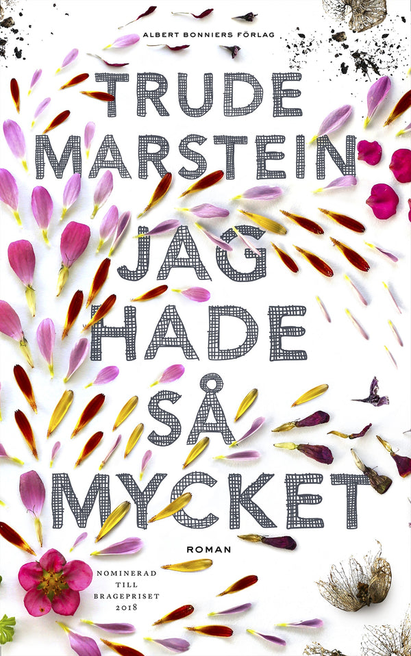 Jag hade så mycket – E-bok – Laddas ner-Digitala böcker-Axiell-peaceofhome.se