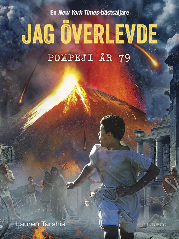 Jag överlevde Pompeji år 79 – E-bok – Laddas ner-Digitala böcker-Axiell-peaceofhome.se