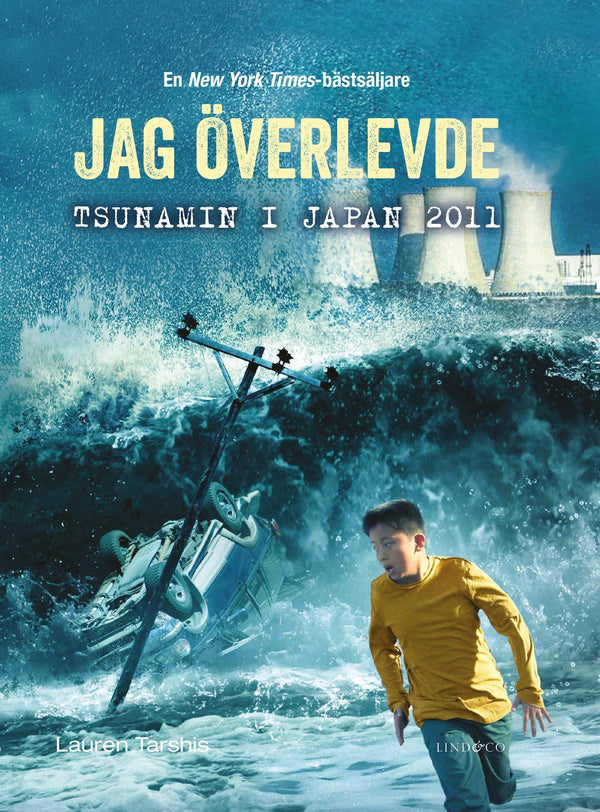 Jag överlevde tsunamin i Japan 2011 – E-bok – Laddas ner-Digitala böcker-Axiell-peaceofhome.se