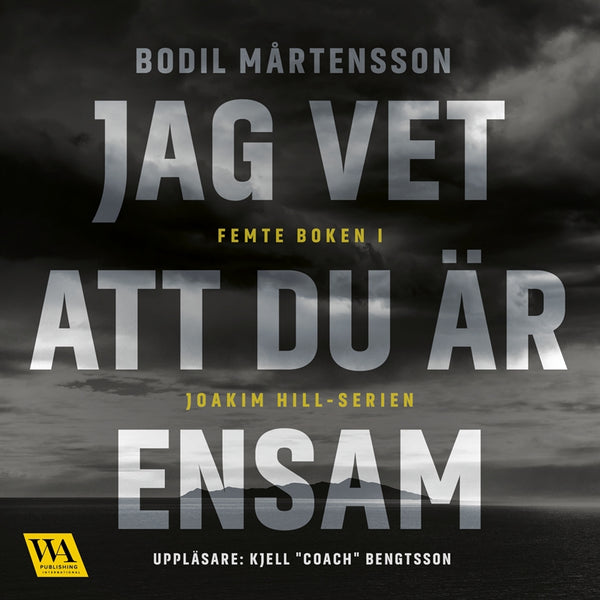 Jag vet att du är ensam – Ljudbok – Laddas ner-Digitala böcker-Axiell-peaceofhome.se