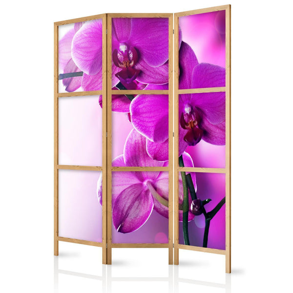 Japansk rumsavdelare - Violet Orchids I-Japanska rumsavdelare-Artgeist-peaceofhome.se
