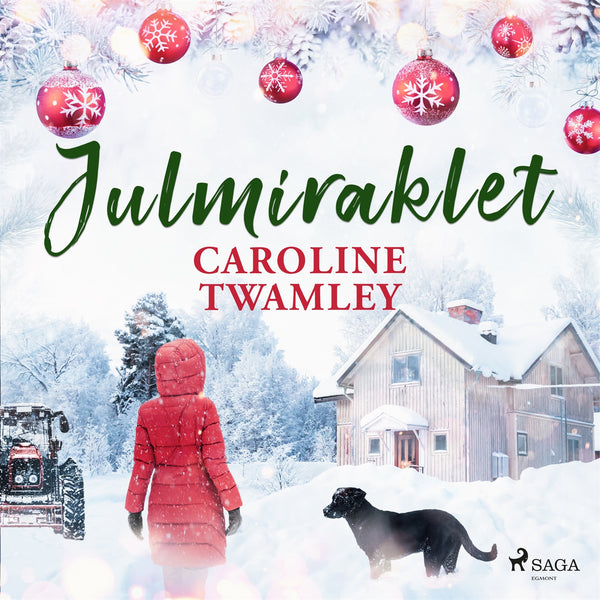 Julmiraklet – Ljudbok – Laddas ner-Digitala böcker-Axiell-peaceofhome.se