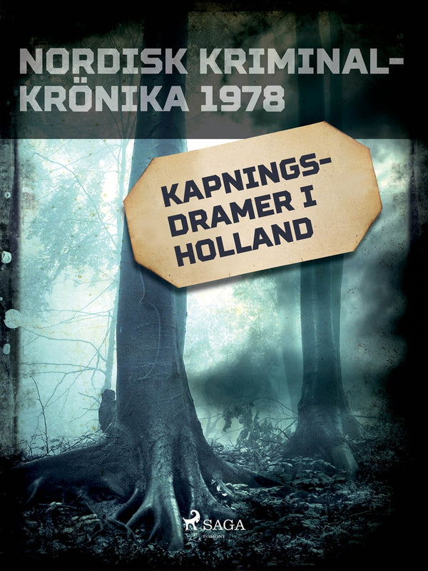 Kapningsdramer i Holland – E-bok – Laddas ner-Digitala böcker-Axiell-peaceofhome.se