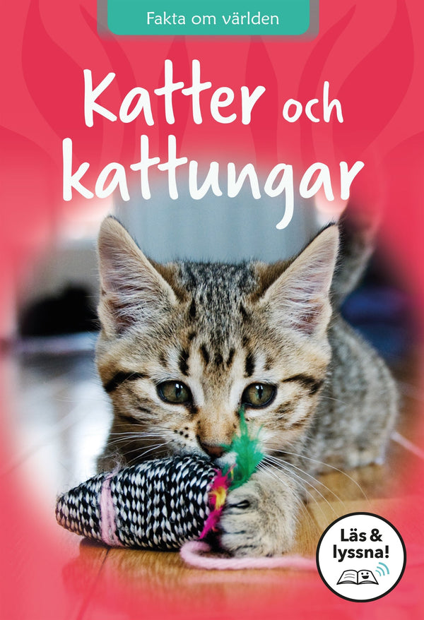 Katter och kattungar – E-bok – Laddas ner-Digitala böcker-Axiell-peaceofhome.se