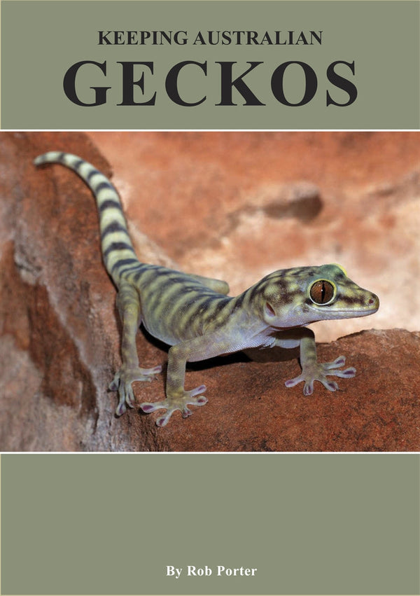 Keeping Australian Geckos – E-bok – Laddas ner-Digitala böcker-Axiell-peaceofhome.se