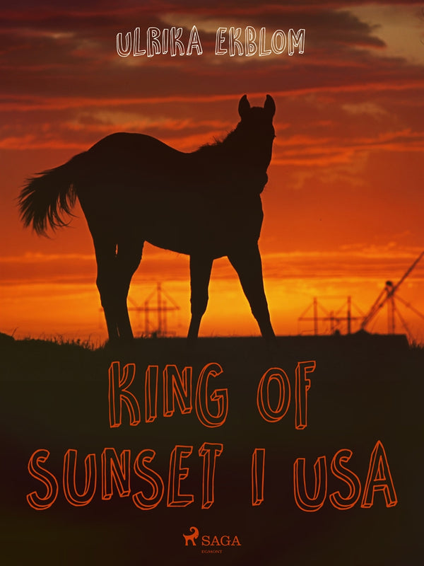 King of Sunset i USA – E-bok – Laddas ner-Digitala böcker-Axiell-peaceofhome.se