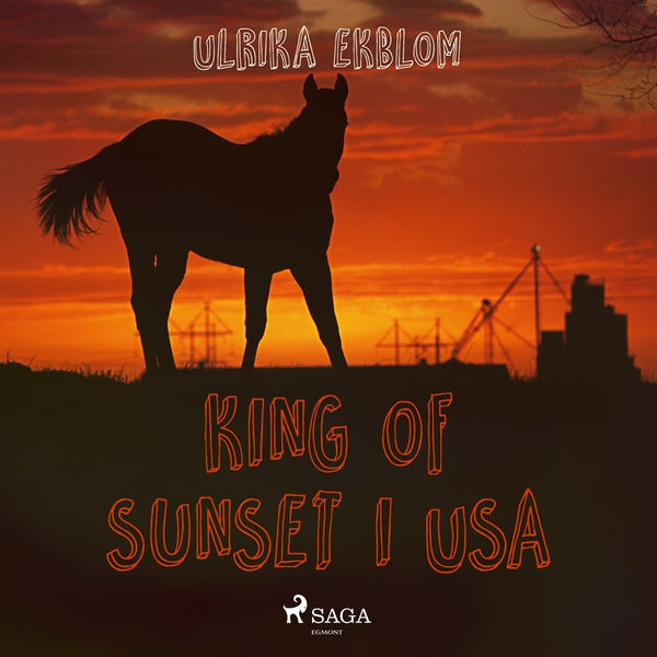 King of Sunset i USA – Ljudbok – Laddas ner-Digitala böcker-Axiell-peaceofhome.se