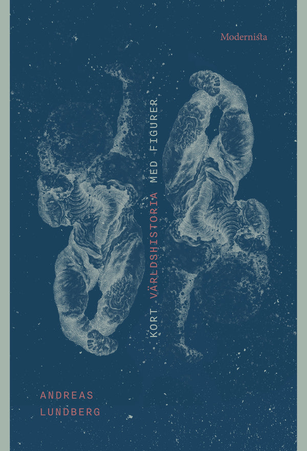 Kort världshistoria med figurer – E-bok – Laddas ner-Digitala böcker-Axiell-peaceofhome.se