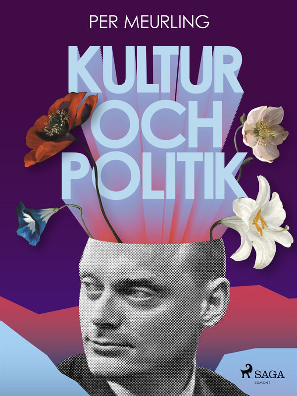 Kultur och politik – E-bok – Laddas ner-Digitala böcker-Axiell-peaceofhome.se