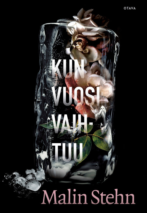 Kun vuosi vaihtuu – E-bok – Laddas ner-Digitala böcker-Axiell-peaceofhome.se