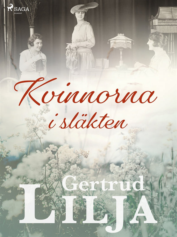 Kvinnorna i släkten – E-bok – Laddas ner-Digitala böcker-Axiell-peaceofhome.se