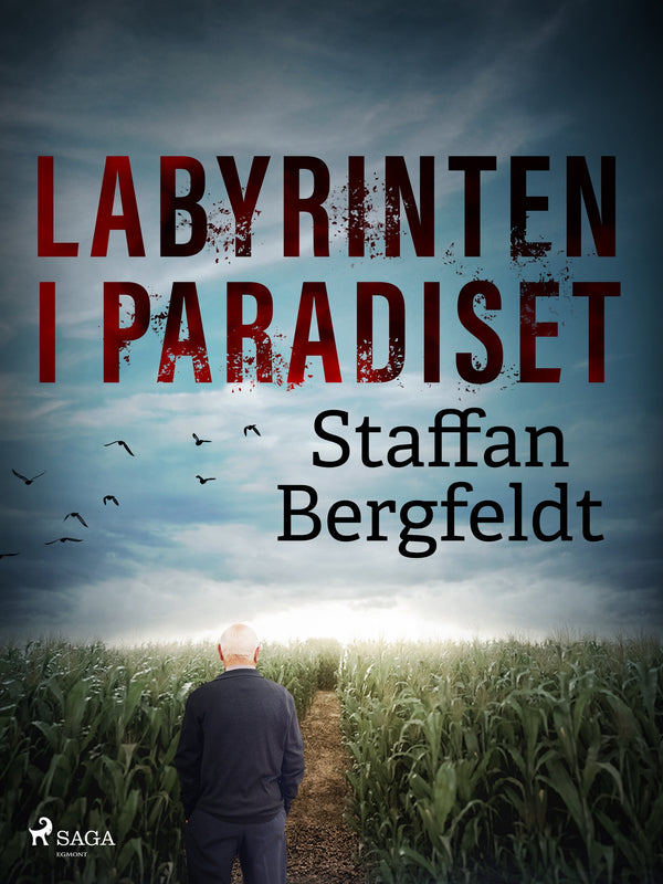 Labyrinten i paradiset – E-bok – Laddas ner-Digitala böcker-Axiell-peaceofhome.se